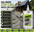 Waterproof Crack Repair Sealant (Pack of 2)